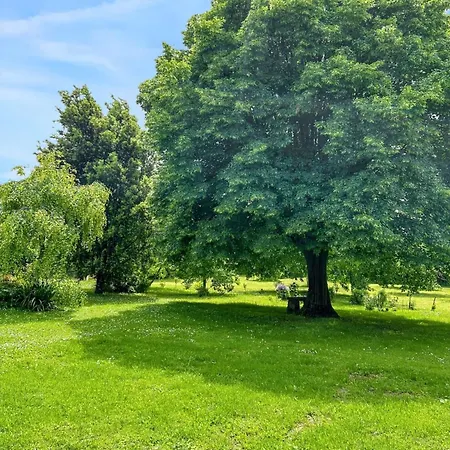 Maison De Charme A Sigogne, Proche De Cognac, Barbecue Inclus. *